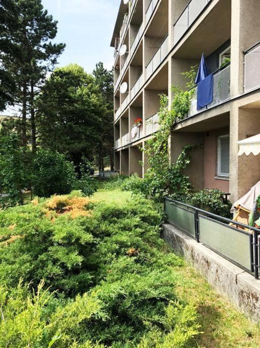 דירות Mini Studio In Masaryk Quarter - ברנו מראה חיצוני תמונה